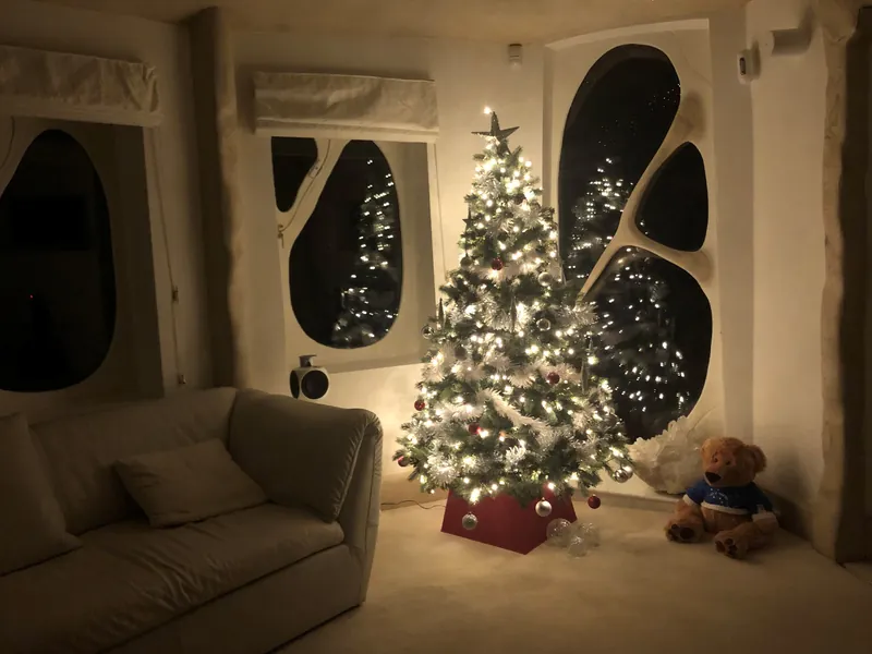 The Christmas tree in the pod